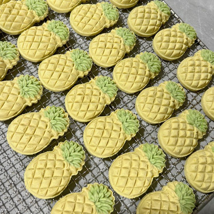 Handcrafted Pineapple Biscuit Dog Treats – Chicken, Cheese, & Veggie Blend – 20 Pieces, Individually Vacuum-Sealed – No Additives, No Preservatives, Healthy Training & Meal Topper Treats