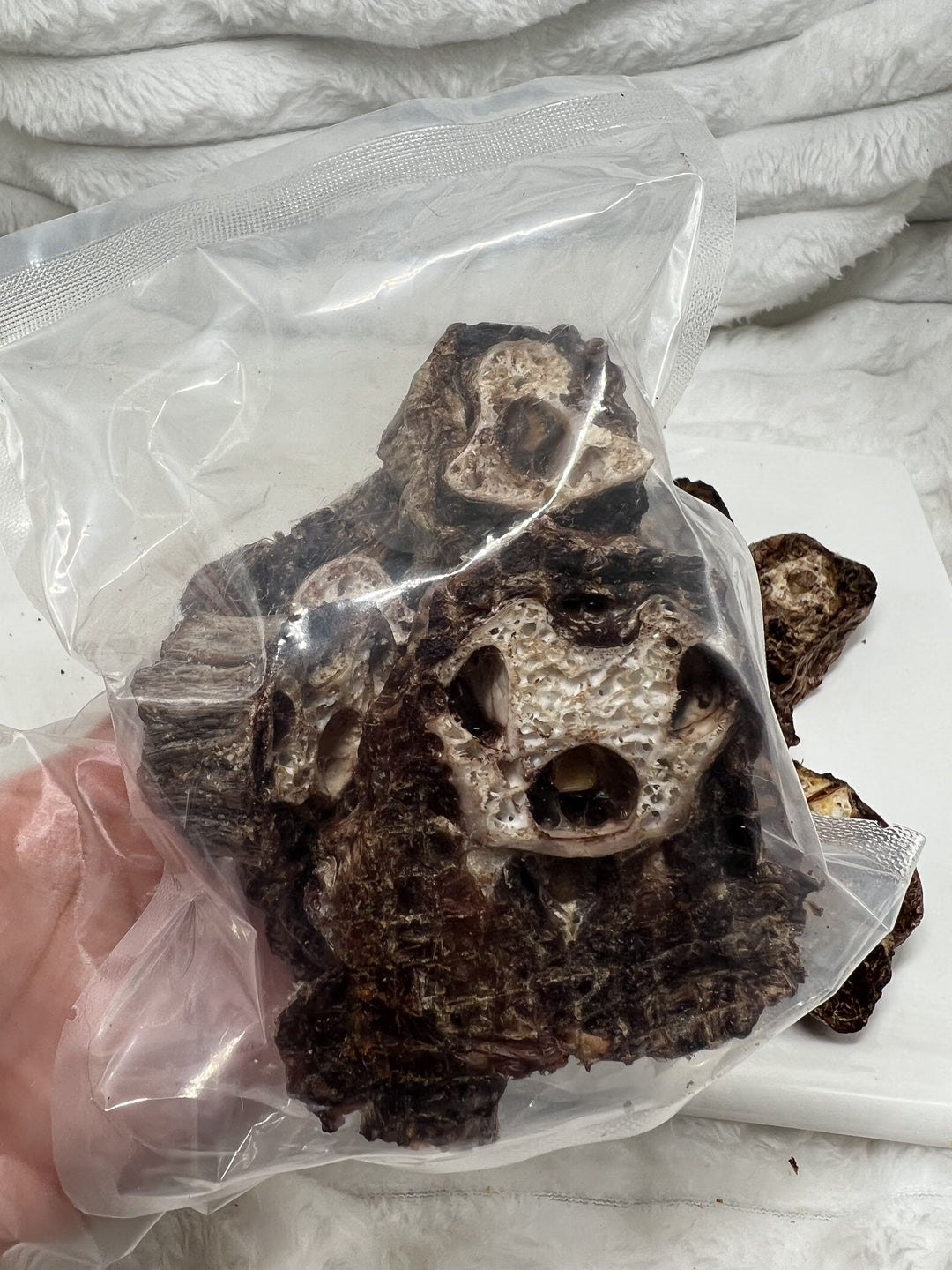 Premium Ostrich Meat Pet Treats – Fresh, Handcrafted, Vacuum-Sealed (20 Pieces) – No Additives or Preservatives