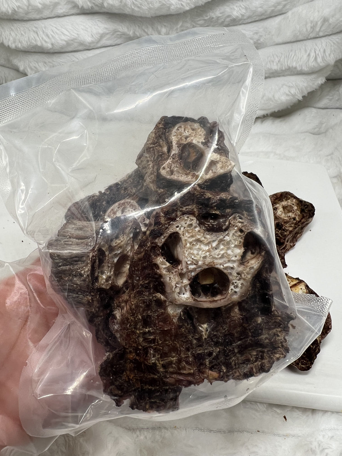 Premium Ostrich Meat Pet Treats – Fresh, Handcrafted, Vacuum-Sealed (20 Pieces) – No Additives or Preservatives