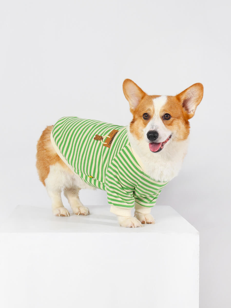Clothes Made for Corgis