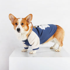 Cute Clothes for Corgi Puppies