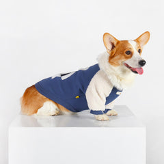 Cute Clothes for Corgi Puppies