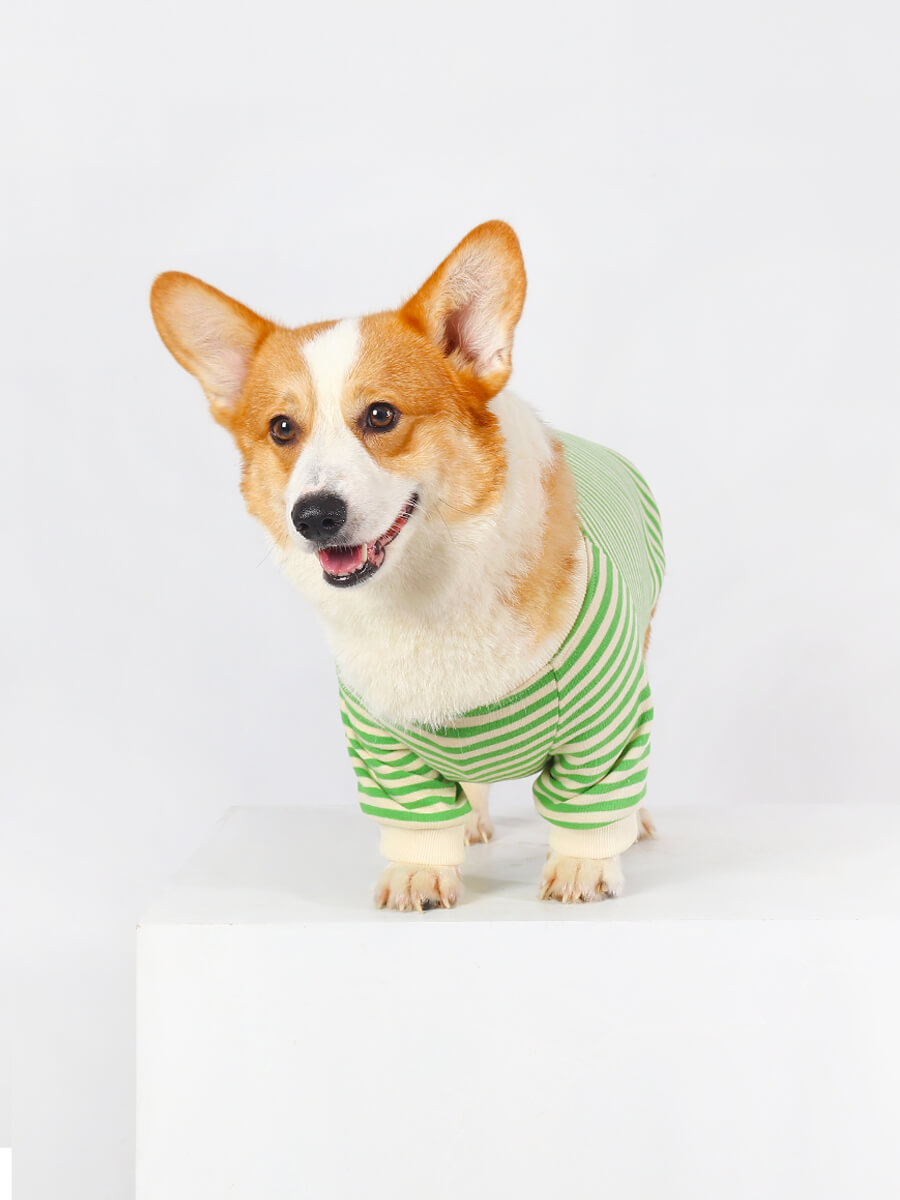 Clothes Made for Corgis