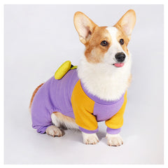 Corgi Snowsuit