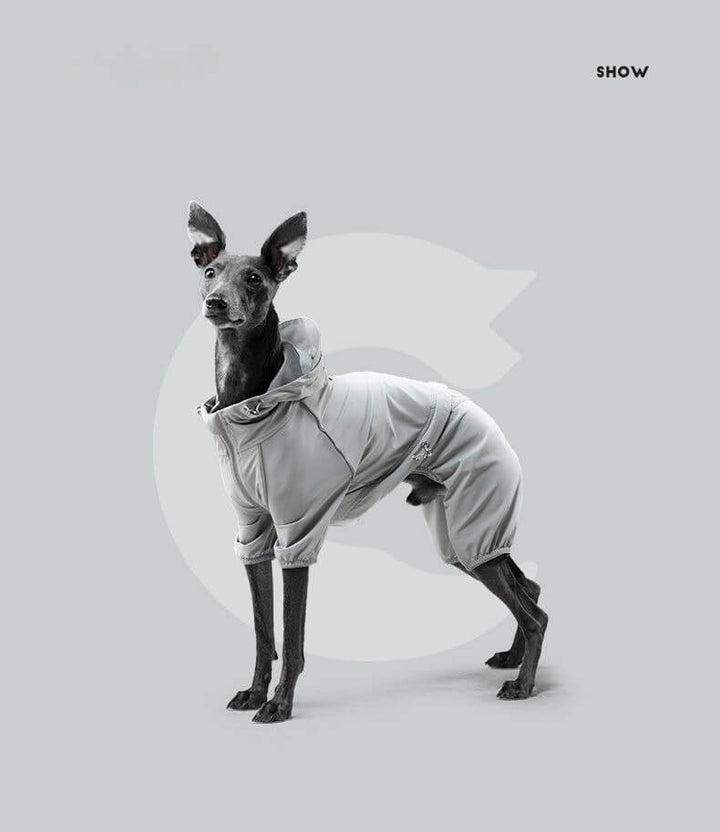 dog raincoat with hood 006
