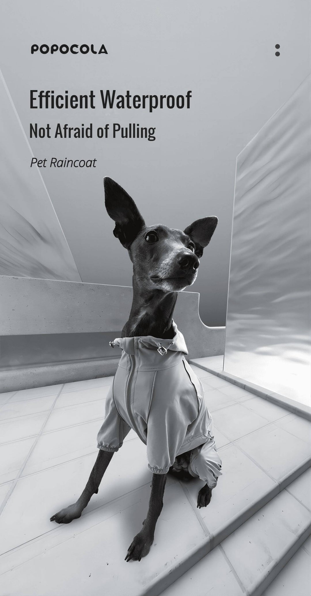 dog raincoat with hood 008