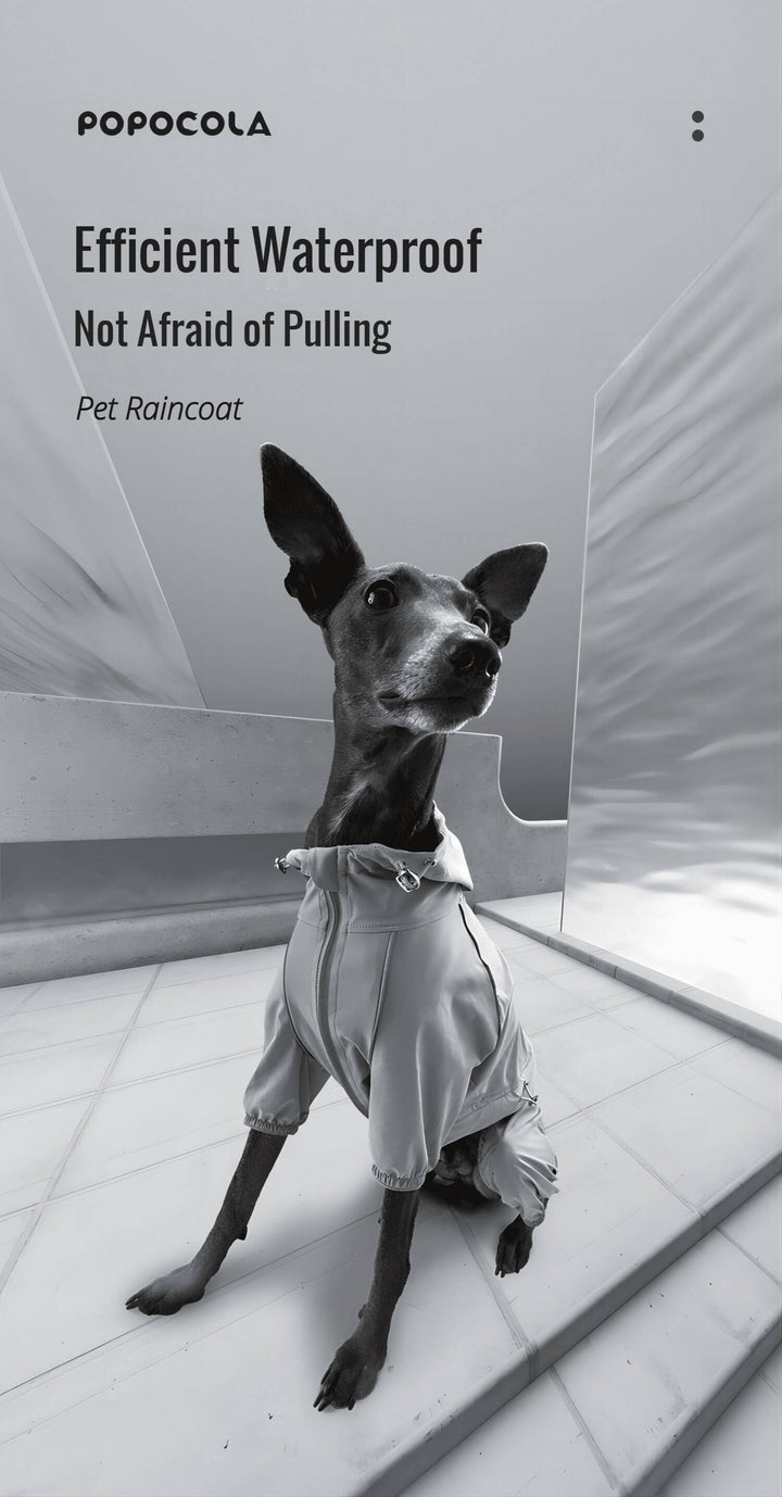 dog raincoat with hood 008