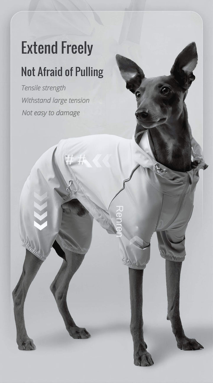 dog raincoat with hood 011