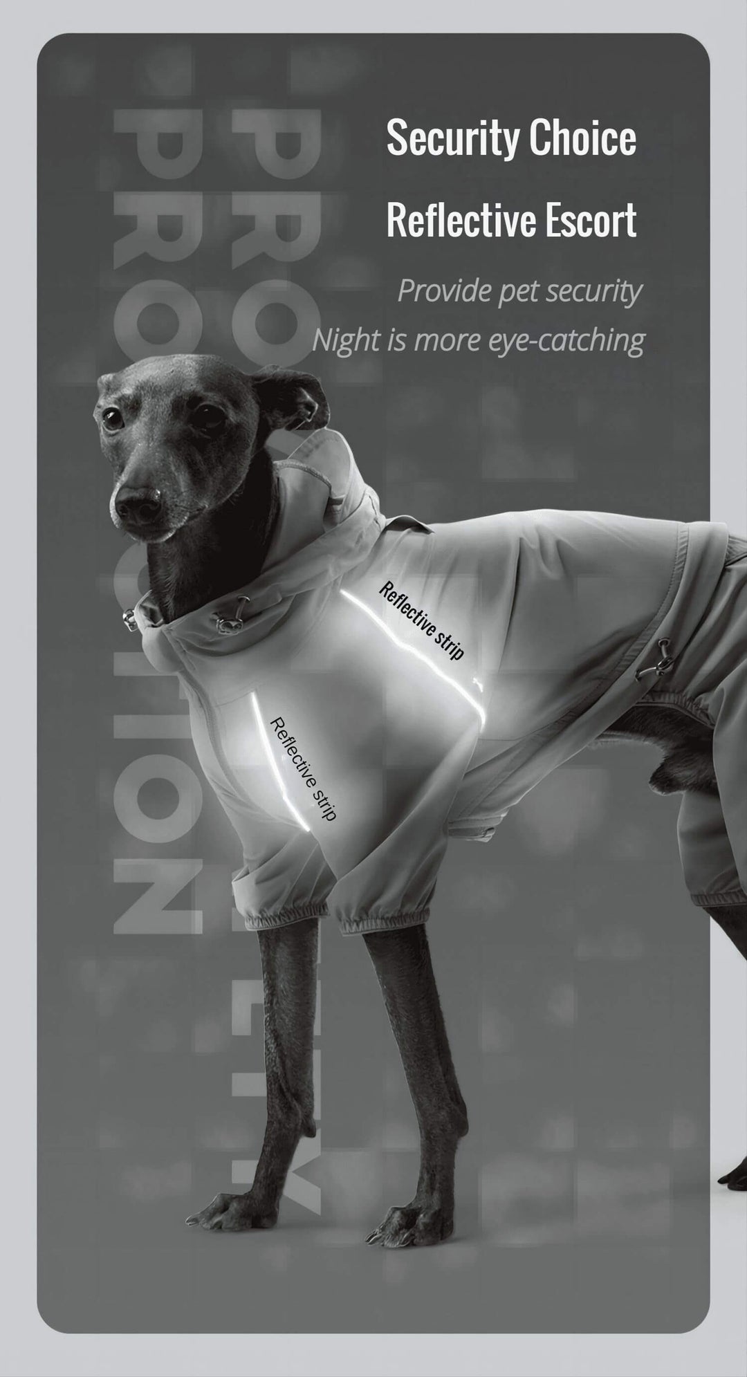 dog raincoat with hood 012