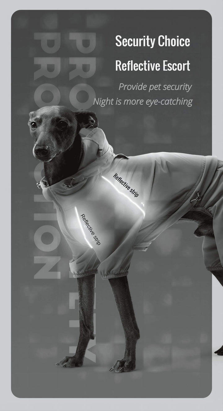 dog raincoat with hood 012