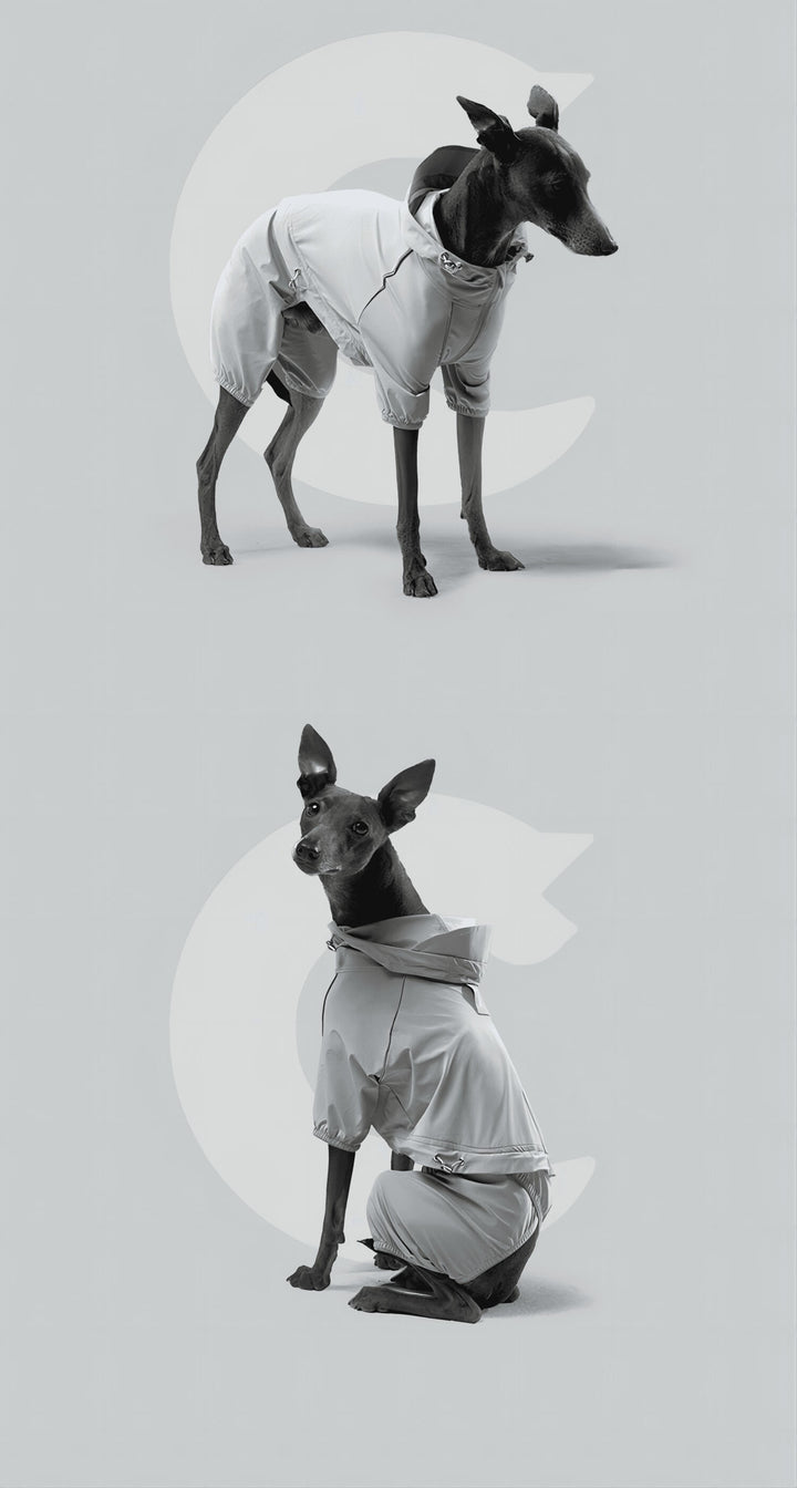 dog raincoat with hood 014