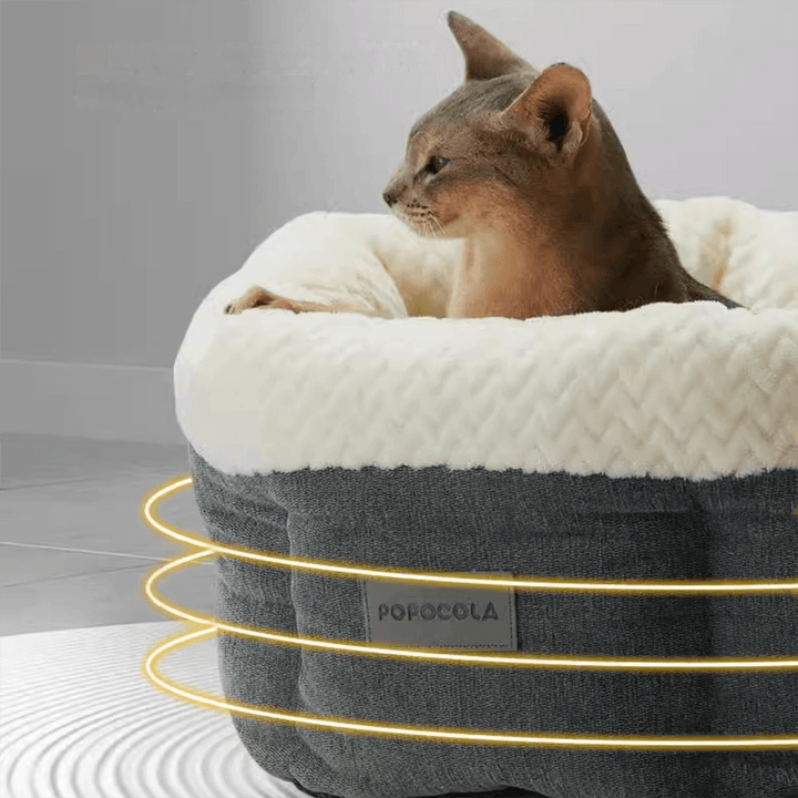 Heated Cat/Dog Bed Indoor