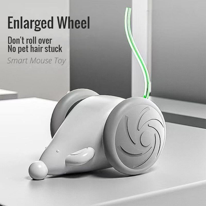 Interactive Cat Toys